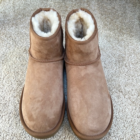 UGG | Shoes | Nwob Ugg Sz Chestnut Fur 
